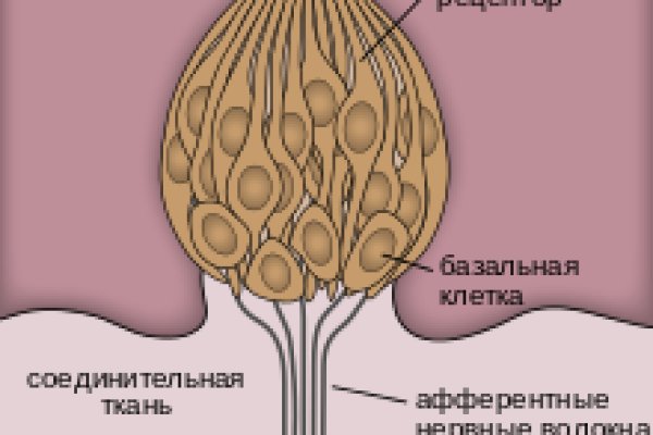 Ссылка на кракен оригинал