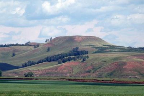 Кракен ссылка тор браузер