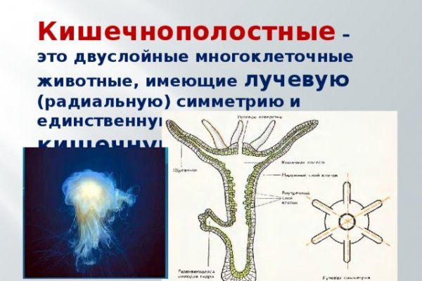 Ссылка на кракен в тор